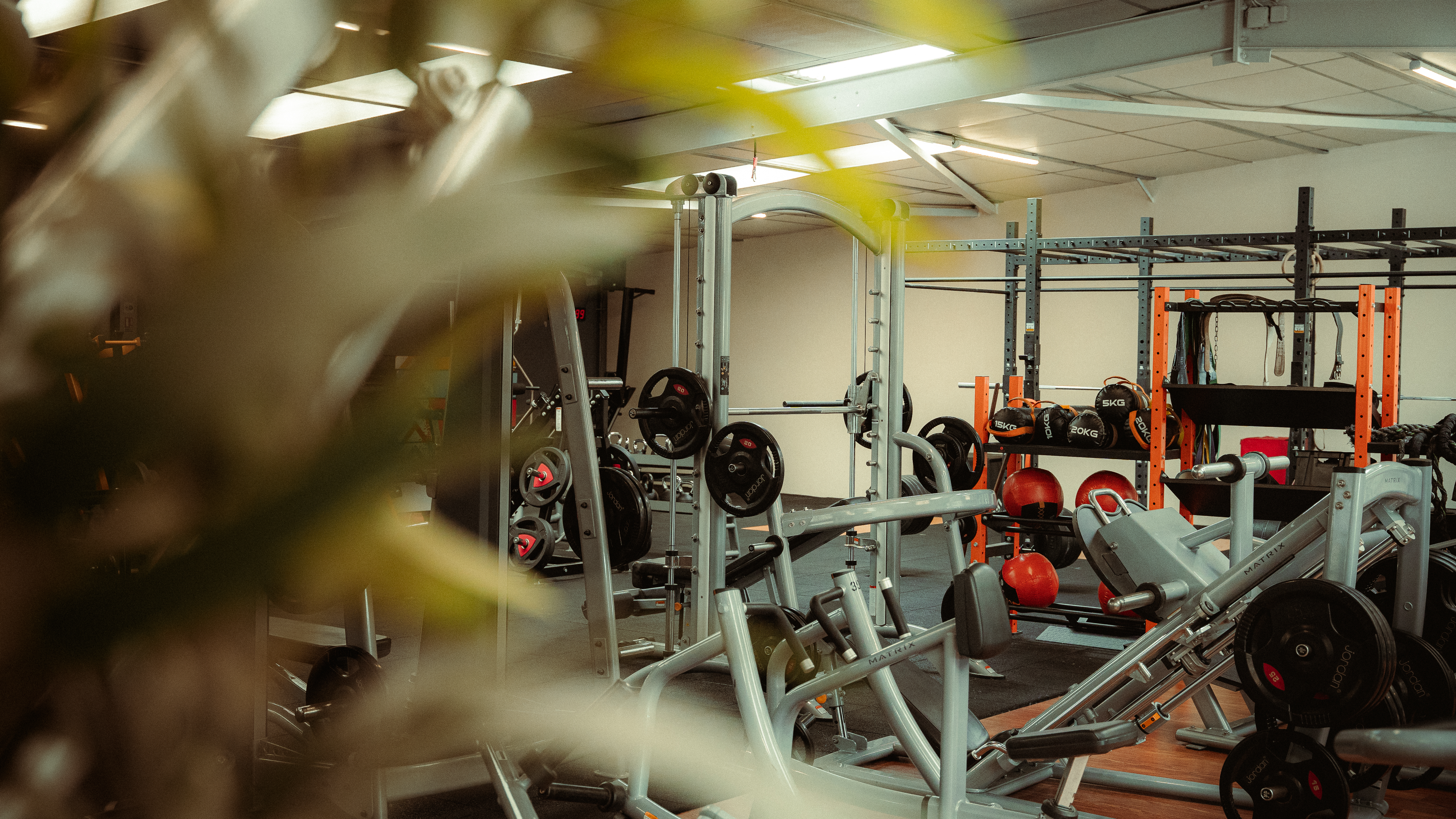 horizonfitnessexperience4.jpg