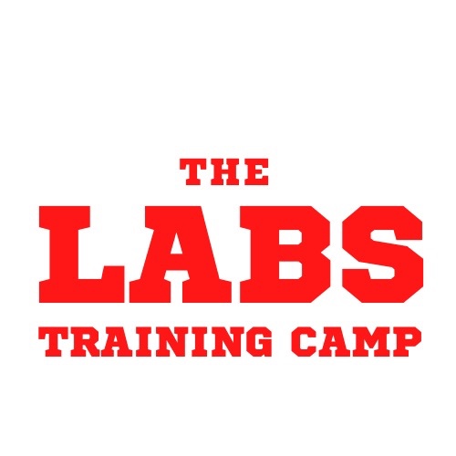 THE LABS TRAINING CAMP.jpeg