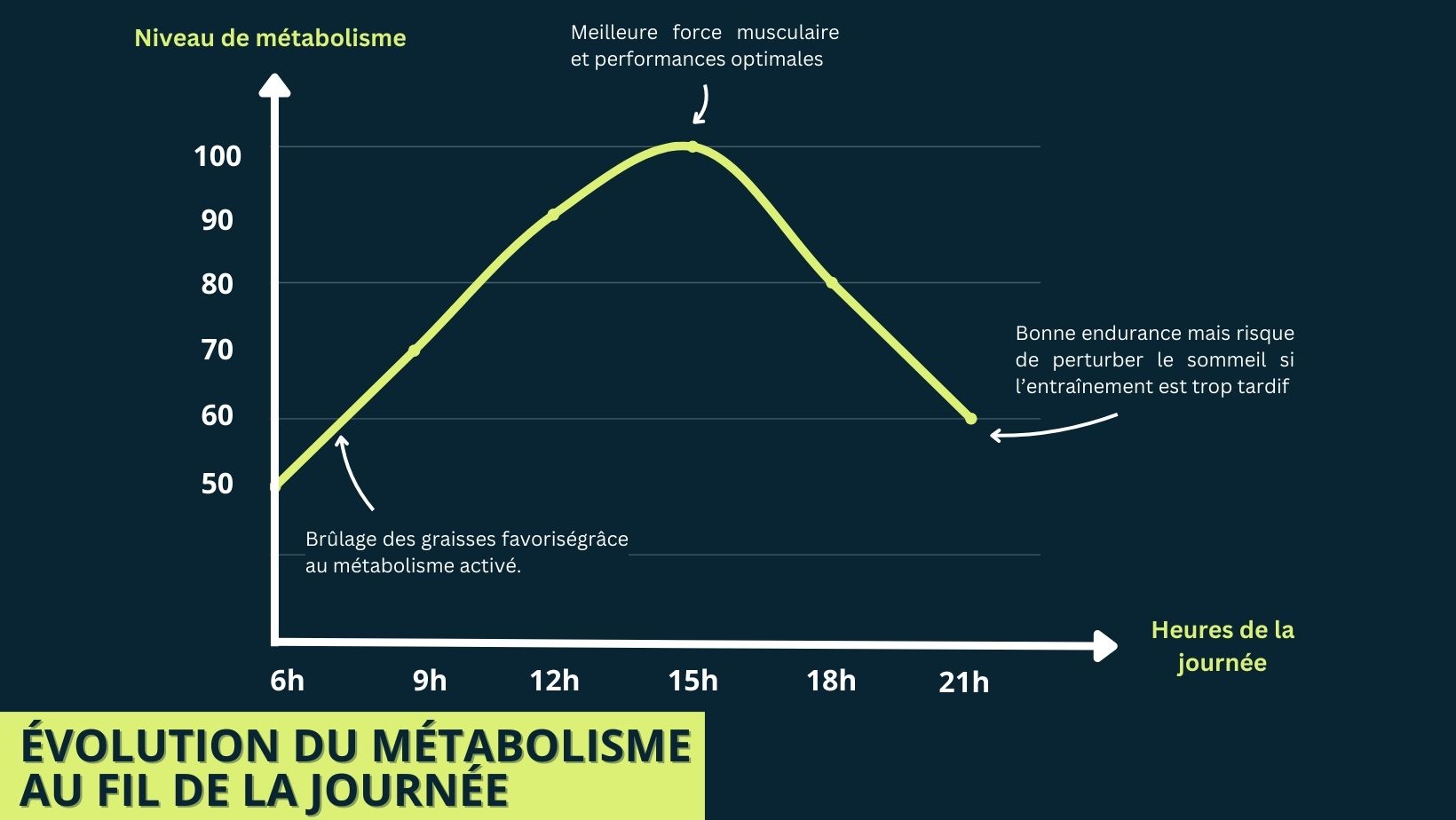 Graphique illustrant les variations du métabolisme tout au long de la journée, indiquant les meilleurs moments pour s’entraîner selon la performance et la récupération.jpg