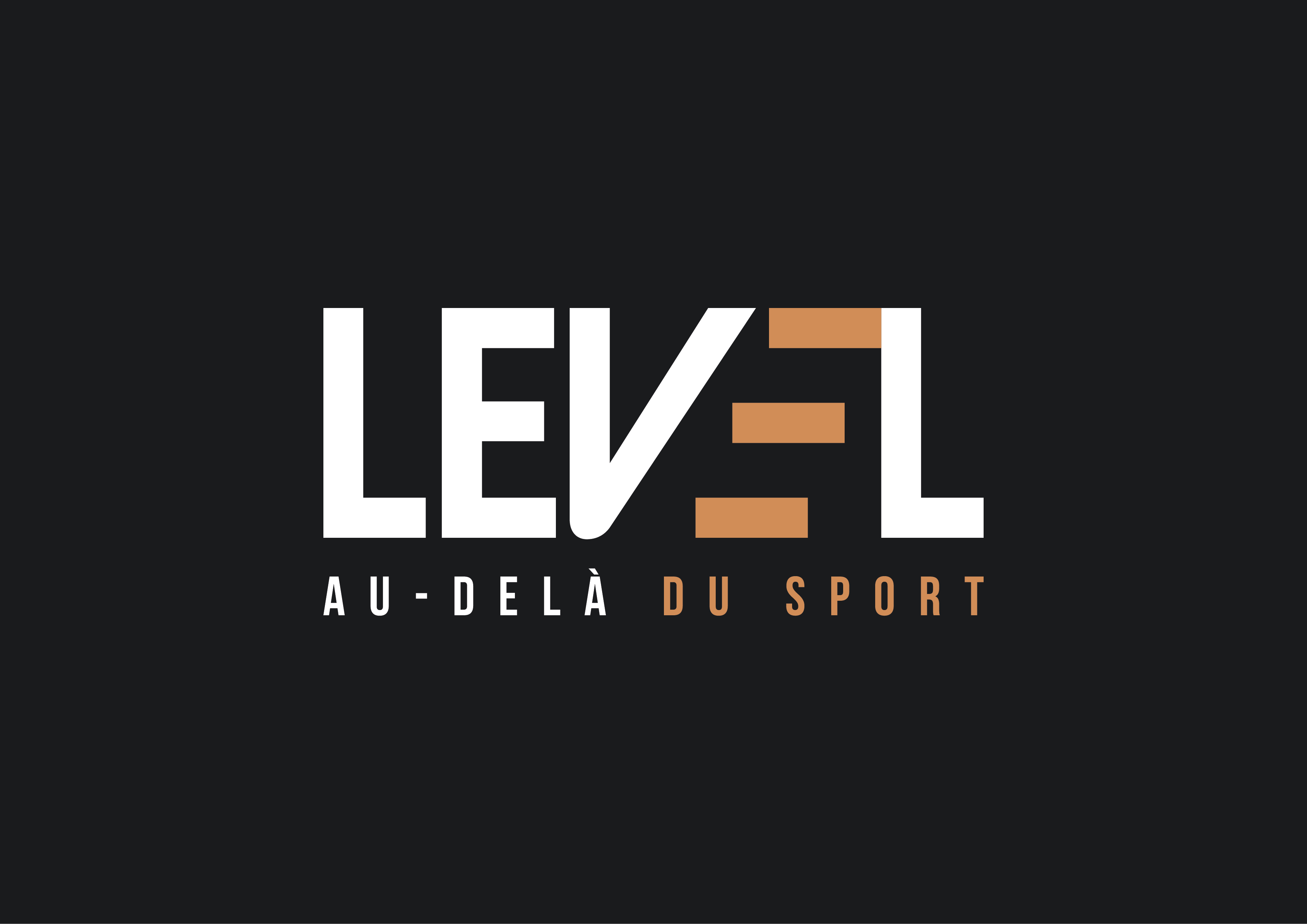 logos LEVEL-FINAL_noir.png